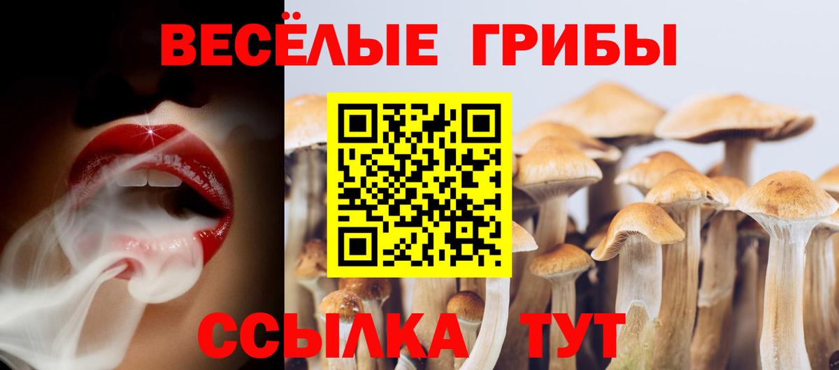 Псилоцибиновые грибы прущие грибы  Вход с VPN  Донецк  Галлюциногенные грибы Psilocybe 